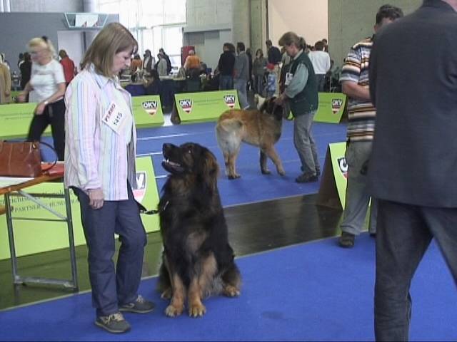 Salzburg Clubschau Mai 06 244 